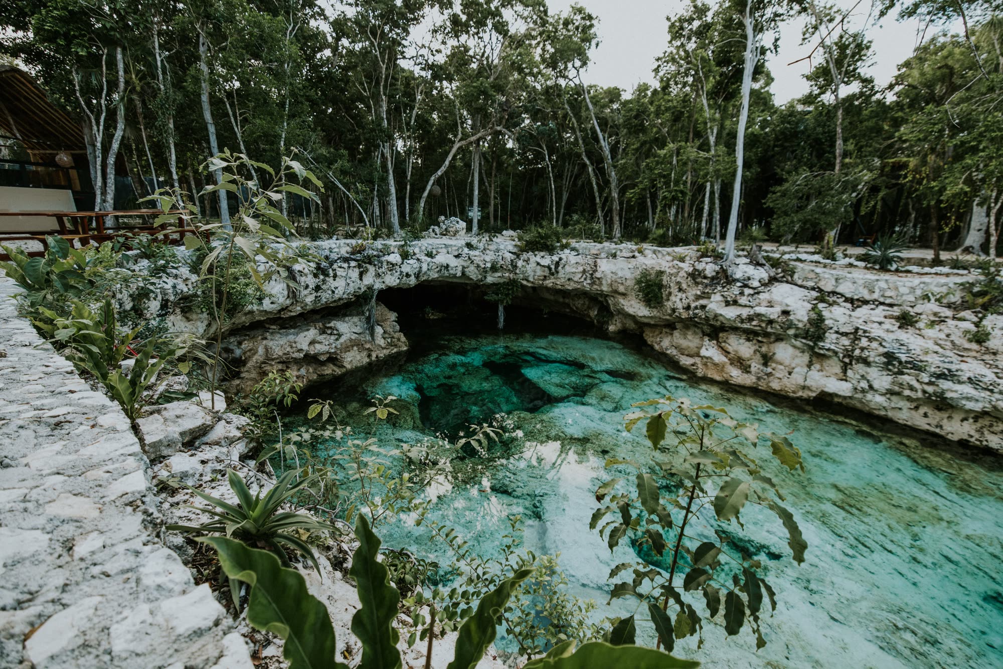 Cenote water surrounded by jungle outside Tulum