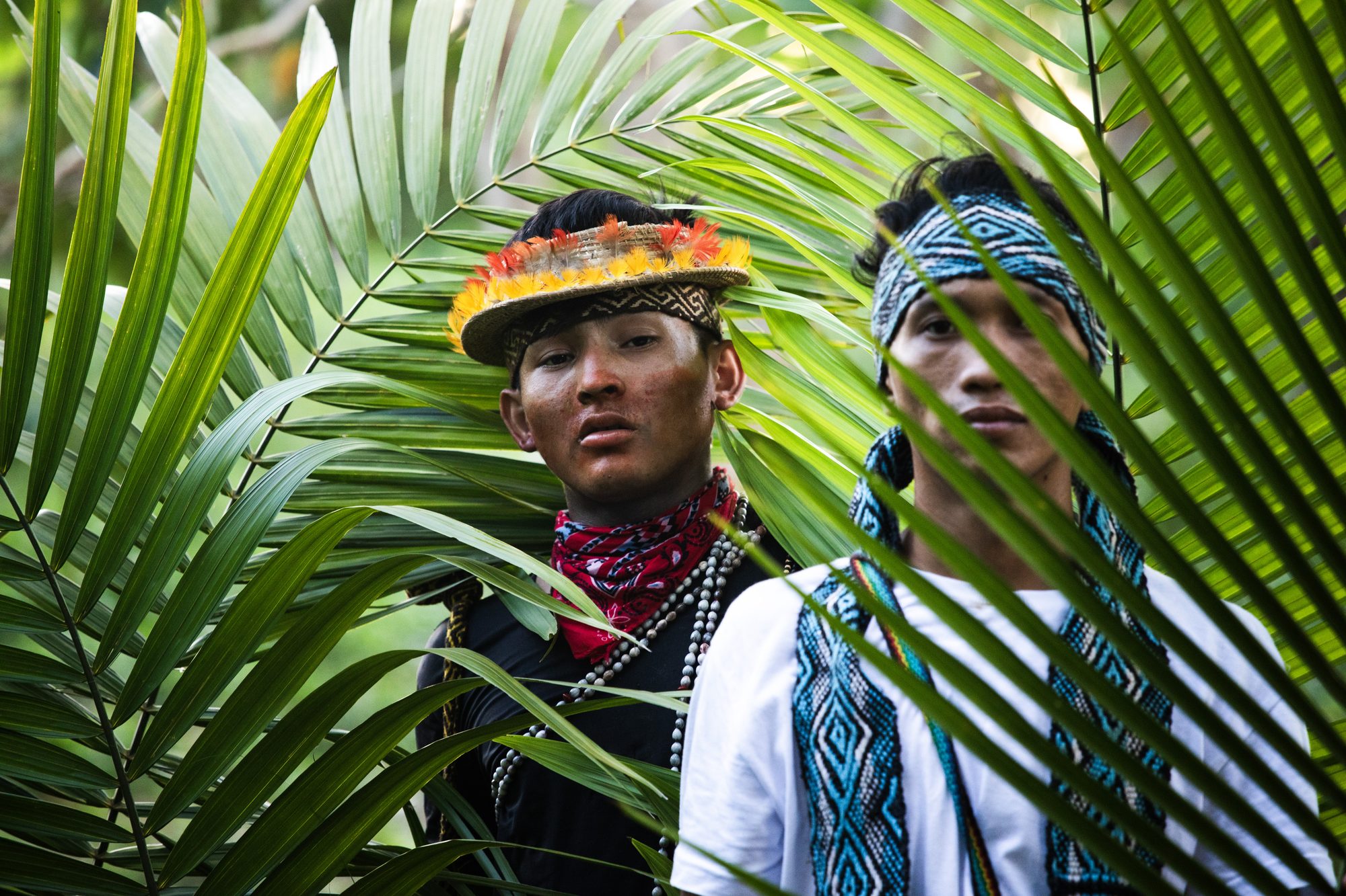 Community members framed by forest palms