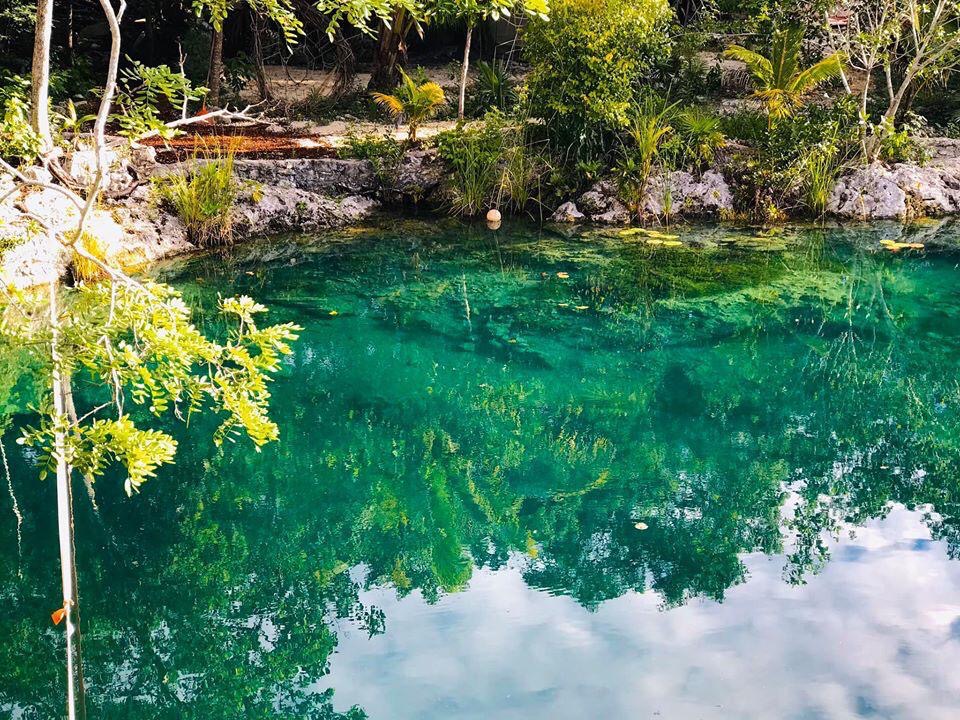 A clear cenote surrounded by jungle