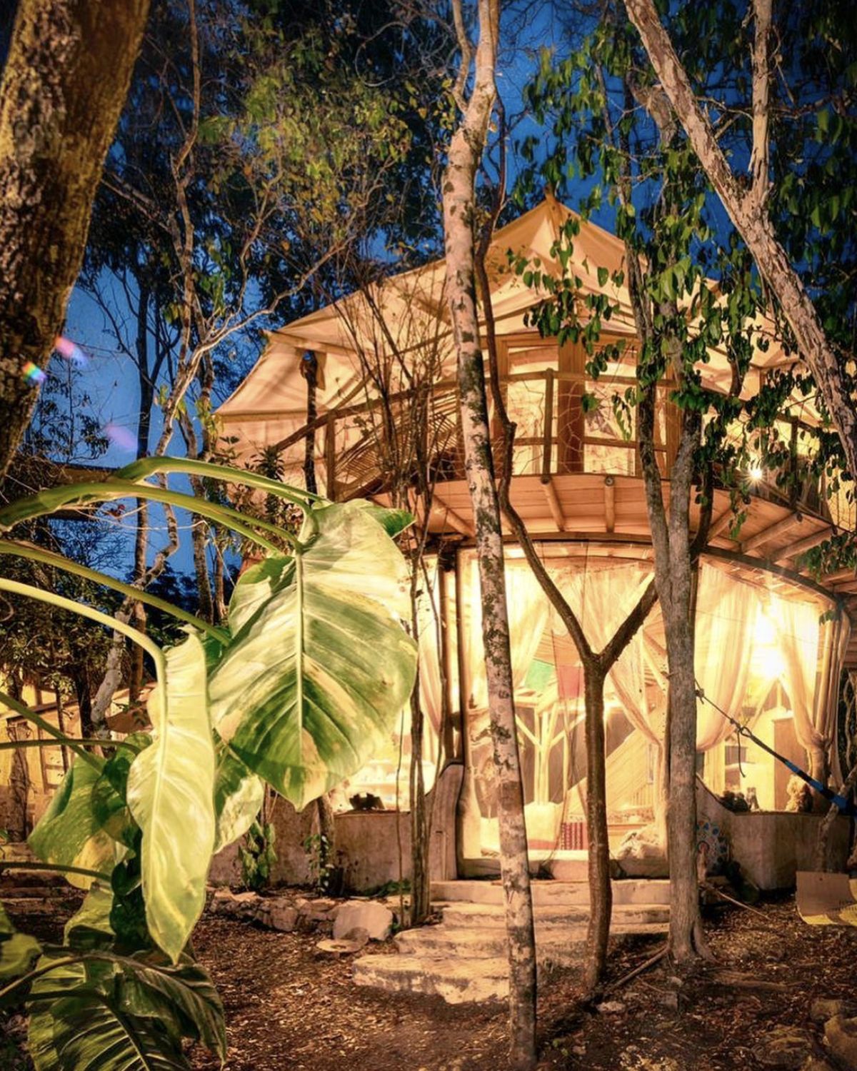 The origin of Vortex Retreats in Tulum, Mexico